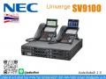 IP PBX